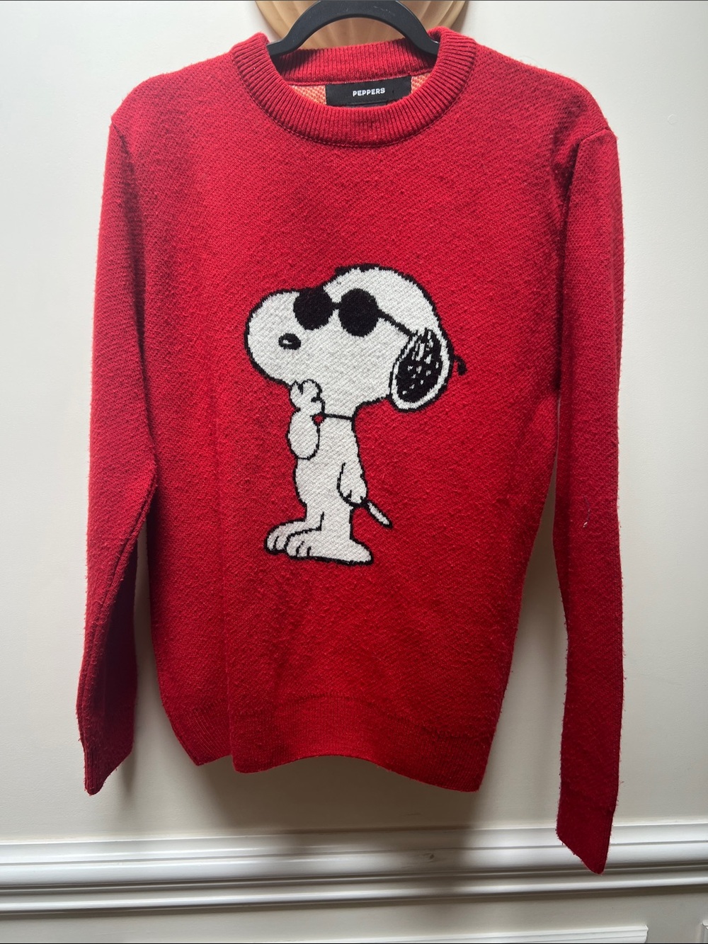 Peanuts x Peppers Snoopy Red Graphic Sweater - Crewneck